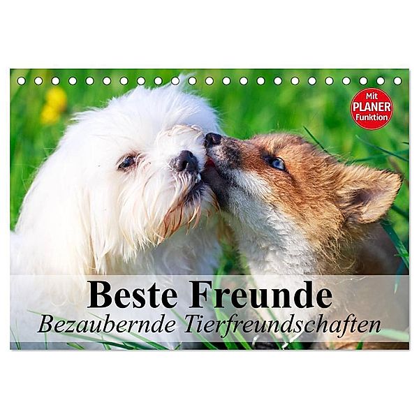 Beste Freunde. Bezaubernde Tierfreundschaften (Tischkalender 2024 DIN A5 quer), CALVENDO Monatskalender, Elisabeth Stanzer