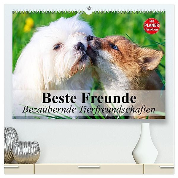 Beste Freunde. Bezaubernde Tierfreundschaften (hochwertiger Premium Wandkalender 2024 DIN A2 quer), Kunstdruck in Hochglanz, Elisabeth Stanzer