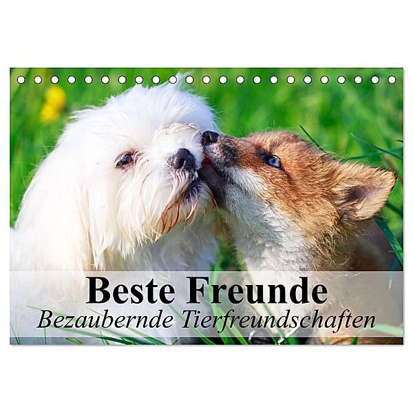 Beste Freunde - Bezaubernde Tierfreundschaften (Tischkalender 2024 DIN A5 quer), CALVENDO Monatskalender, Elisabeth Stanzer