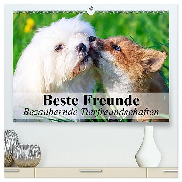 Beste Freunde - Bezaubernde Tierfreundschaften (hochwertiger Premium Wandkalender 2024 DIN A2 quer), Kunstdruck in Hochglanz, Elisabeth Stanzer