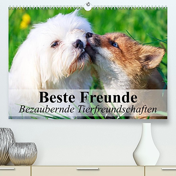 Beste Freunde - Bezaubernde Tierfreundschaften (Premium, hochwertiger DIN A2 Wandkalender 2023, Kunstdruck in Hochglanz), Elisabeth Stanzer