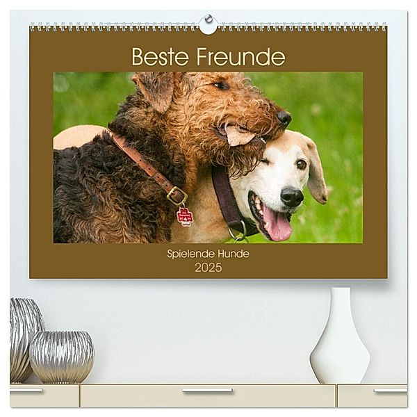 Beste Freunde - Spielende Hunde (hochwertiger Premium Wandkalender 2025 DIN A2 quer), Kunstdruck in Hochglanz, Calvendo, Meike Bölts