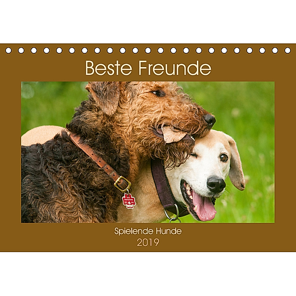 Beste Freunde - Spielende Hunde (Tischkalender 2019 DIN A5 quer), Meike Bölts
