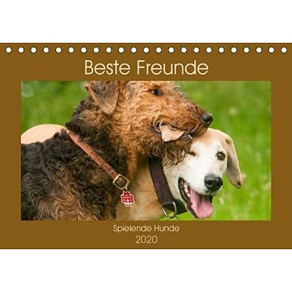 Beste Freunde - Spielende Hunde (Tischkalender 2020 DIN A5 quer), Meike Bölts