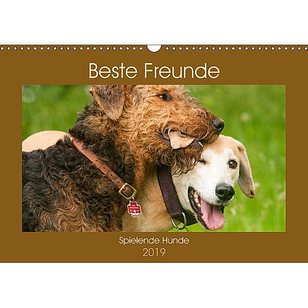 Beste Freunde - Spielende Hunde (Wandkalender 2019 DIN A3 quer), Meike Bölts