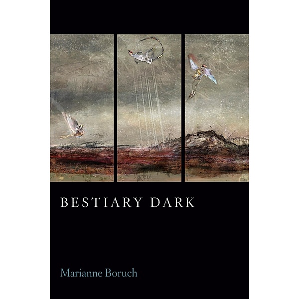 Bestiary Dark, Marianne Boruch