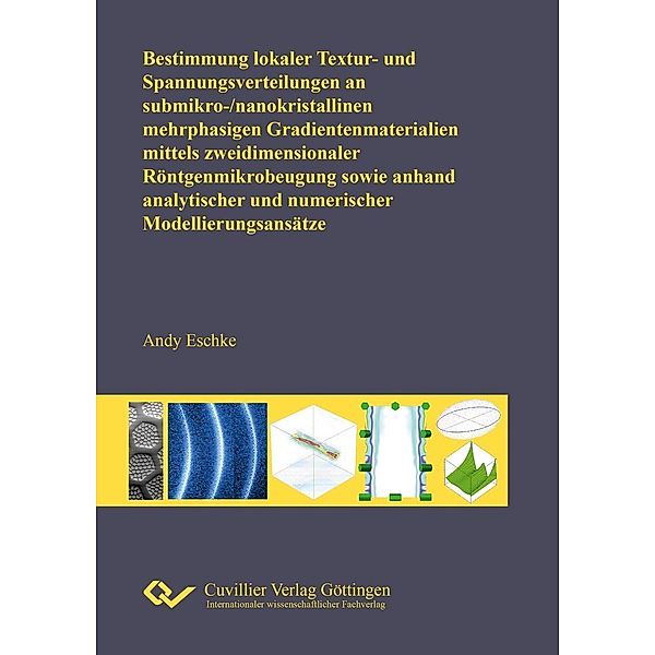 Bestimmung lokaler Textur- und Spannungsverteilungen an submikro-/nanokristallinen mehrphasigen Gradientenmaterialien mittels zweidimensionaler Röntgenmikrobeugung sowie an-hand analytischer und numerischer Modellierungsansätze