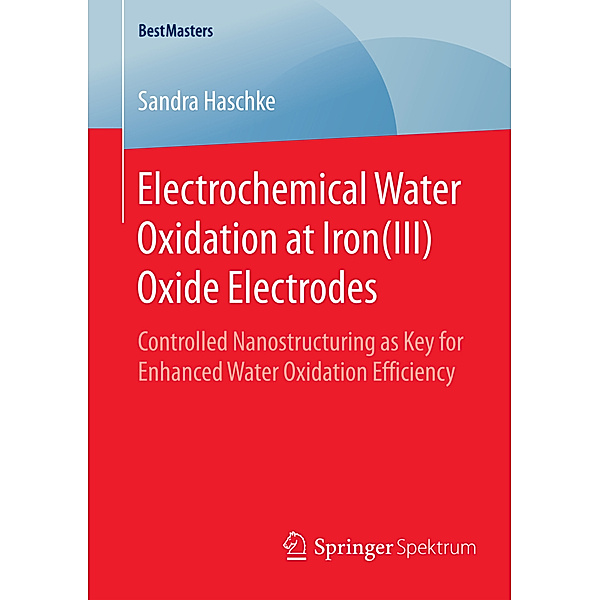 BestMasters / Electrochemical Water Oxidation at Iron(III) Oxide Electrodes, Sandra Haschke