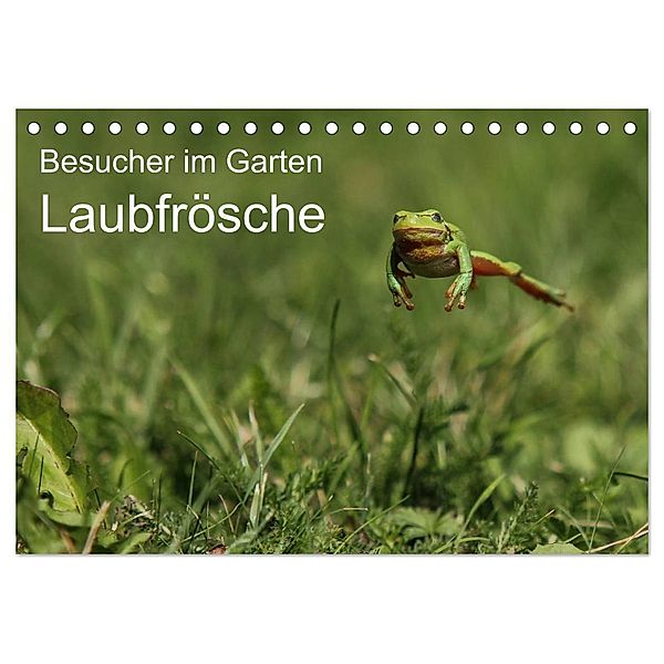 Besucher im Garten - Laubfrösche (Tischkalender 2024 DIN A5 quer), CALVENDO Monatskalender, N. Wilhelm