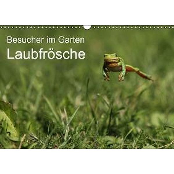 Besucher im Garten - Laubfrösche (Wandkalender 2015 DIN A3 quer), N. Wilhelm