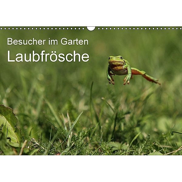 Besucher im Garten - Laubfrösche (Wandkalender 2018 DIN A3 quer), N. Wilhelm