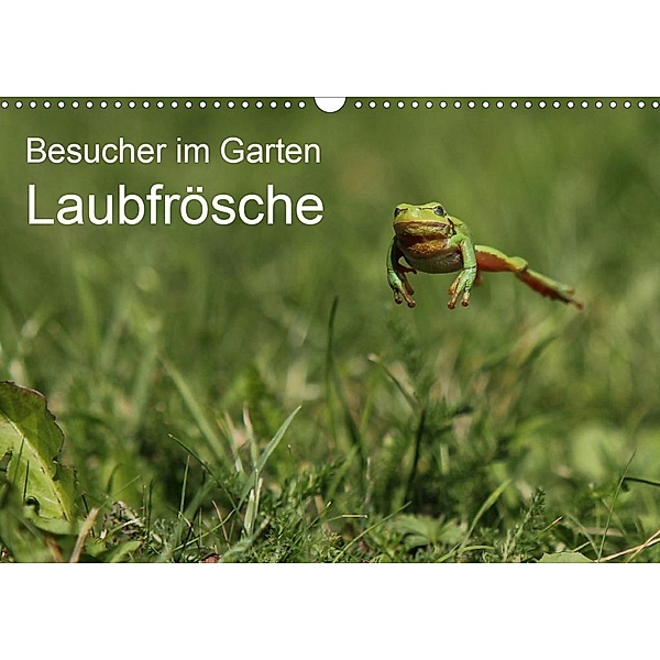 Besucher im Garten - Laubfrösche (Wandkalender 2020 DIN A3 quer), N. Wilhelm