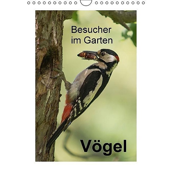 Besucher im Garten - Vögel (Wandkalender 2016 DIN A4 hoch), N. Wilhelm