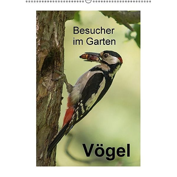 Besucher im Garten - Vögel (Wandkalender 2017 DIN A2 hoch), N. Wilhelm