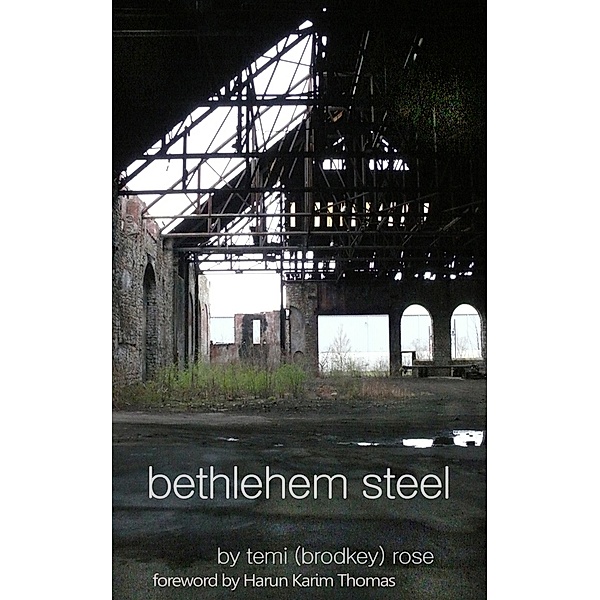Bethlehem Steel - Cold and Colder, Temi (Brodkey) Rose