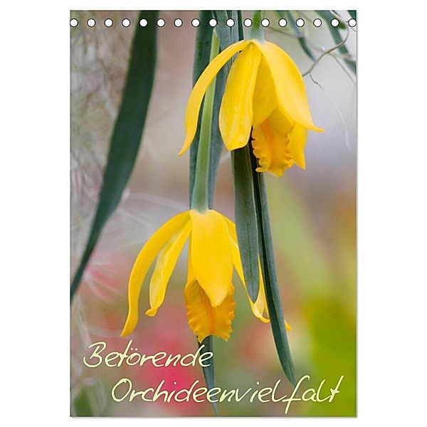 Betörende Orchideenvielfalt (Tischkalender 2024 DIN A5 hoch), CALVENDO Monatskalender, Clemens Stenner