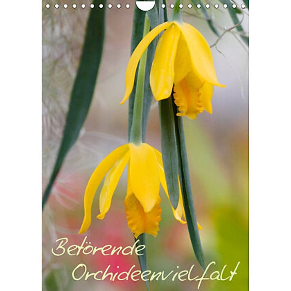 Betörende Orchideenvielfalt (Wandkalender 2022 DIN A4 hoch), Clemens Stenner