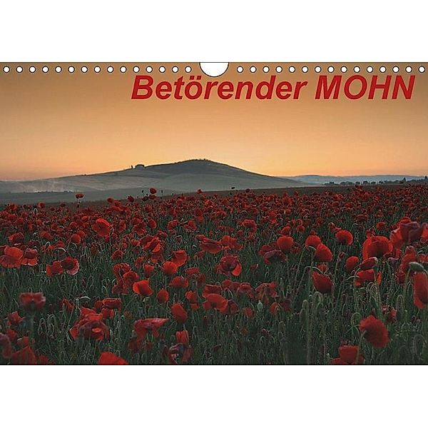 Betörender Mohn (Wandkalender 2017 DIN A4 quer), Peter Schürholz
