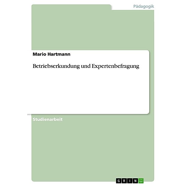 Betriebserkundung und Expertenbefragung, Mario Hartmann