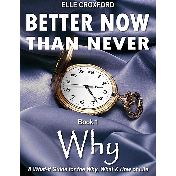 Better Now Than Never: Book 1 Why / Elle Croxford, Elle Croxford