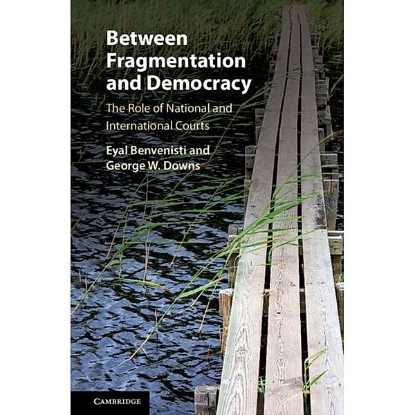 Between Fragmentation and Democracy, Eyal Benvenisti