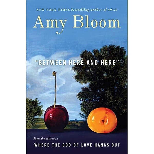 Between Here and Here (short story), Amy Bloom