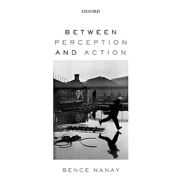Between Perception and Action, Bence Nanay