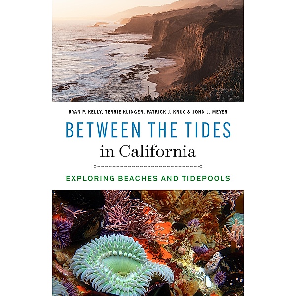 Between the Tides in California, Ryan P. Kelly, Terrie Klinger, Patrick J. Krug, John J. Meyer