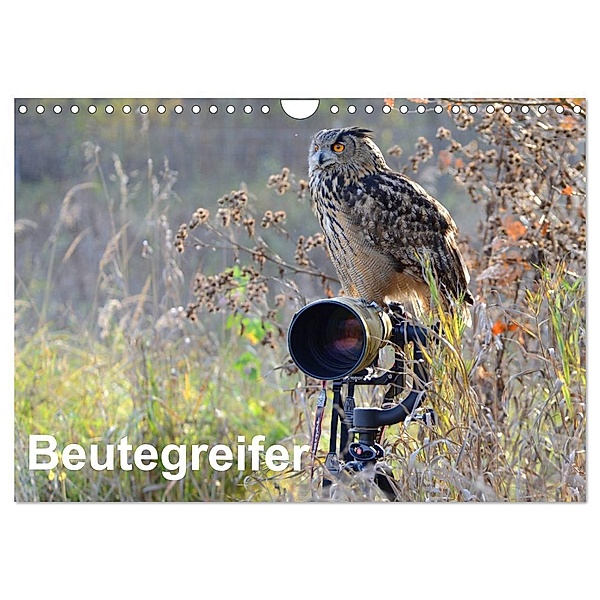 Beutegreifer (Wandkalender 2024 DIN A4 quer), CALVENDO Monatskalender, Diane Jordan