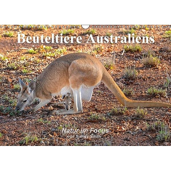 Beuteltiere Australiens (Wandkalender 2017 DIN A3 quer), Sidney Smith