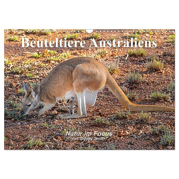 Beuteltiere Australiens (Wandkalender 2024 DIN A3 quer), CALVENDO Monatskalender, Sidney Smith