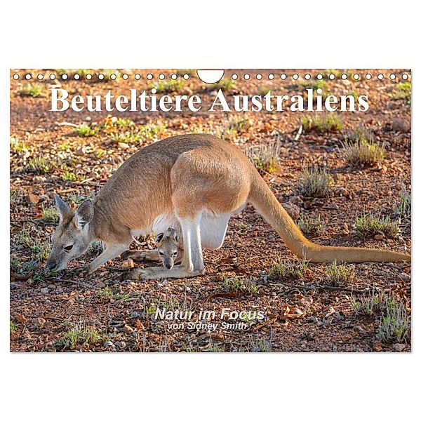 Beuteltiere Australiens (Wandkalender 2024 DIN A4 quer), CALVENDO Monatskalender, Sidney Smith