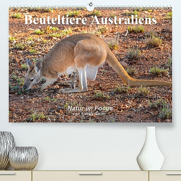 Beuteltiere Australiens(Premium, hochwertiger DIN A2 Wandkalender 2020, Kunstdruck in Hochglanz), Sidney Smith