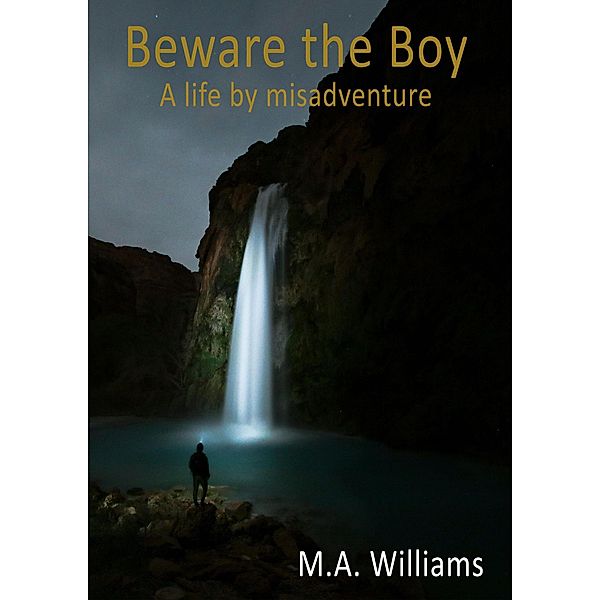 Beware the Boy, M. A. Williams