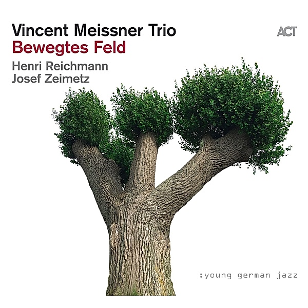 Bewegtes Feld, Vincent Meissner Trio