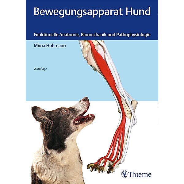 Bewegungsapparat Hund, Mima Hohmann