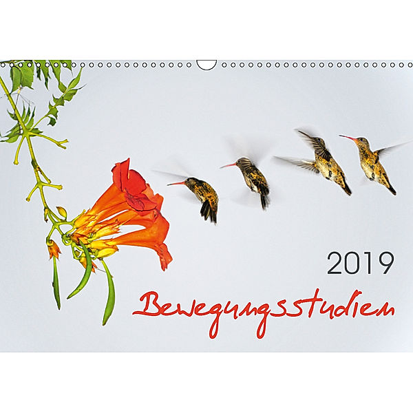 Bewegungsstudien (Wandkalender 2019 DIN A3 quer), Thomas Zeidler