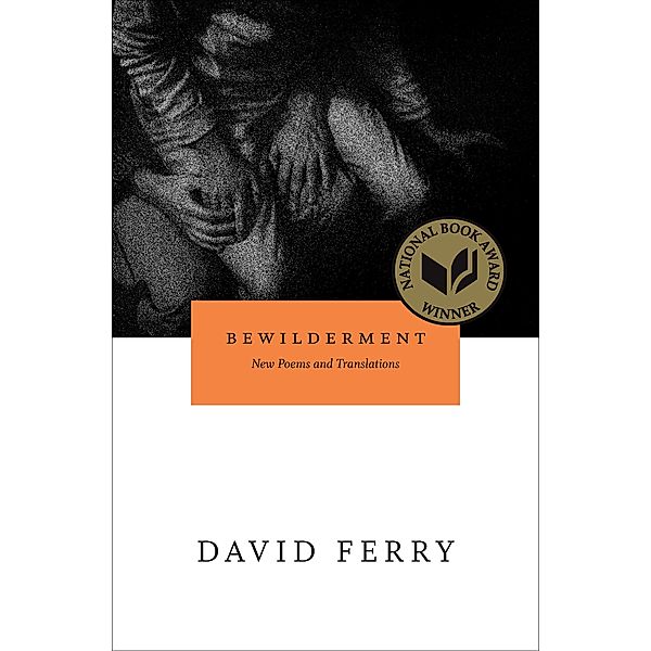 Bewilderment / Phoenix Poets, David Ferry