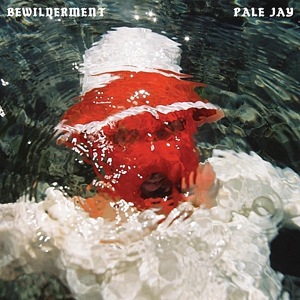 BEWILDERMENT (Seafoam Green Vinyl), Pale Jay