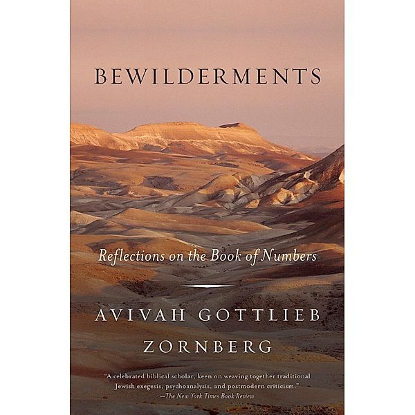 Bewilderments, Avivah Gottlieb Zornberg