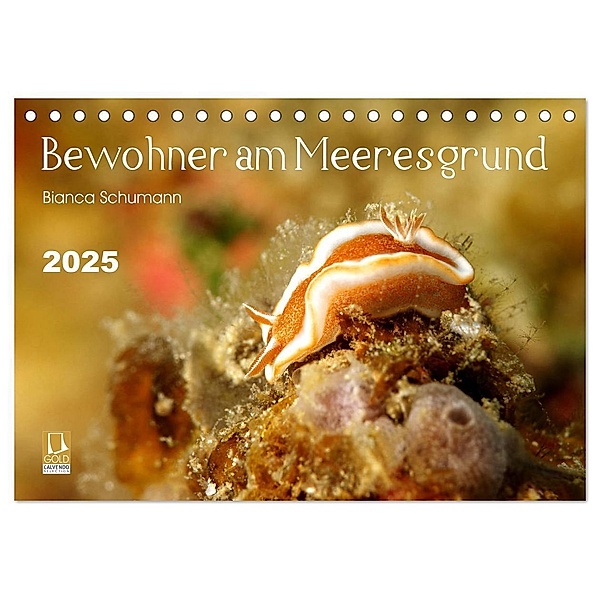 Bewohner am Meeresgrund (Tischkalender 2025 DIN A5 quer), CALVENDO Monatskalender, Calvendo, Bianca Schumann