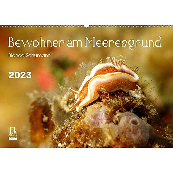 Bewohner am Meeresgrund (Wandkalender 2023 DIN A2 quer), Bianca Schumann
