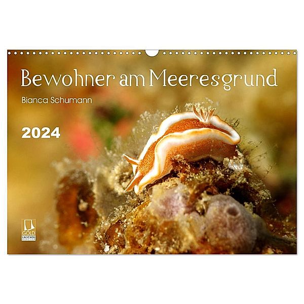 Bewohner am Meeresgrund (Wandkalender 2024 DIN A3 quer), CALVENDO Monatskalender, Bianca Schumann