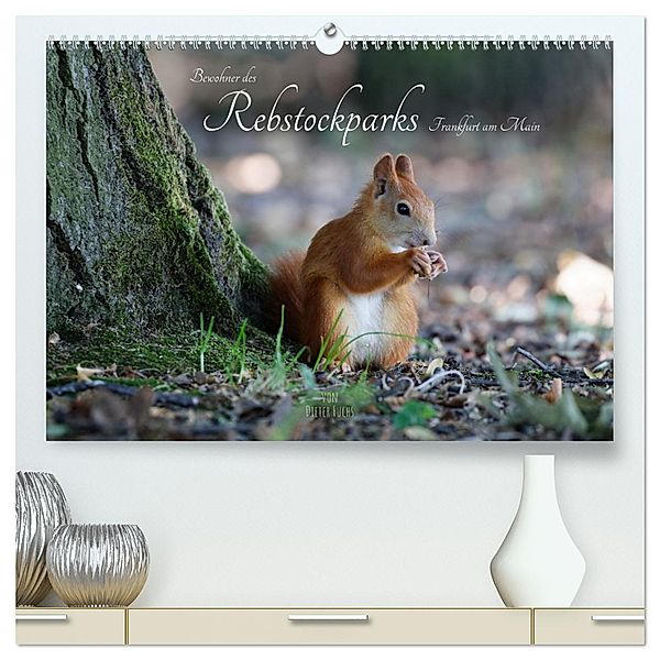 Bewohner des Rebstockparks Frankfurt am Main (hochwertiger Premium Wandkalender 2025 DIN A2 quer), Kunstdruck in Hochglanz, Calvendo, Dieter Fuchs