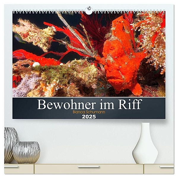 Bewohner im Riff (hochwertiger Premium Wandkalender 2025 DIN A2 quer), Kunstdruck in Hochglanz, Calvendo, Bianca Schumann