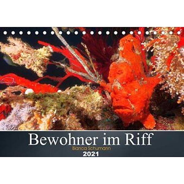 Bewohner im Riff (Tischkalender 2021 DIN A5 quer), Bianca Schumann