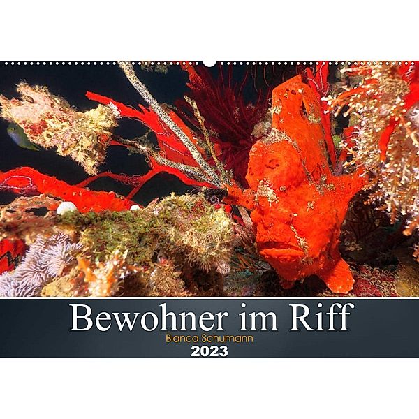 Bewohner im Riff (Wandkalender 2023 DIN A2 quer), Bianca Schumann