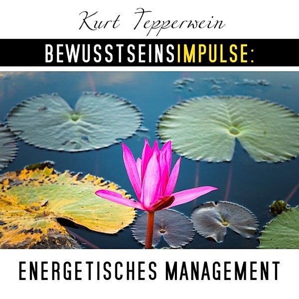 Bewusstseinsimpulse: Energetisches Management, Kurt Tepperwein