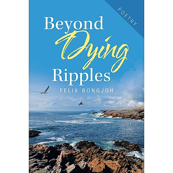 Beyond Dying Ripples, Felix Bongjoh