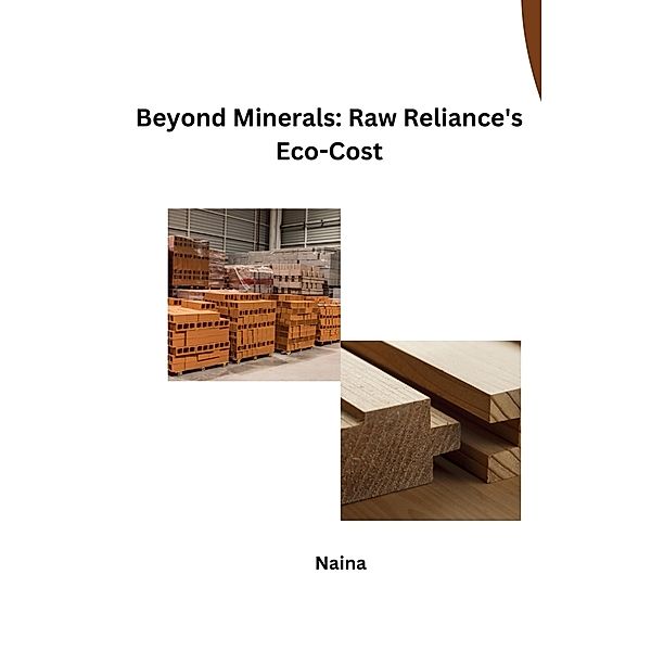 Beyond Minerals: Raw Reliance's Eco-Cost, Naina